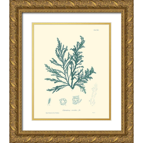 Nature Print in Aqua I Gold Ornate Wood Framed Art Print with Double Matting by Vision Studio