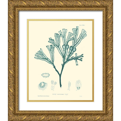 Nature Print in Aqua IV Gold Ornate Wood Framed Art Print with Double Matting by Vision Studio