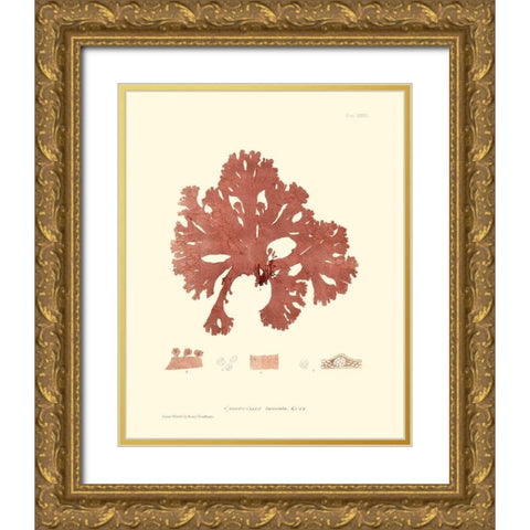 Nature Print in Coral I Gold Ornate Wood Framed Art Print with Double Matting by Vision Studio