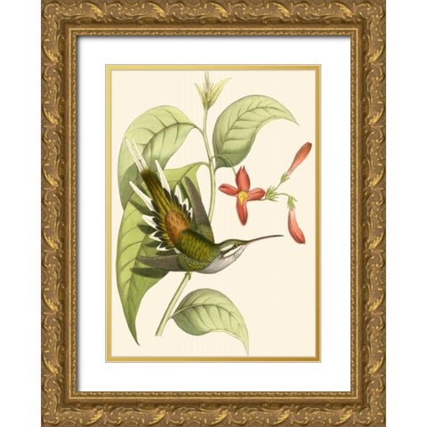 Delicate Hummingbird I Gold Ornate Wood Framed Art Print with Double Matting by Vision Studio