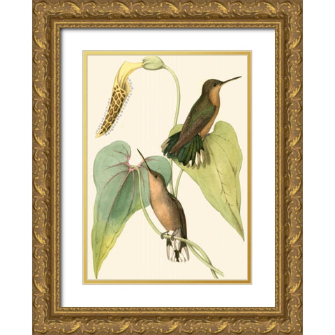 Delicate Hummingbird II Gold Ornate Wood Framed Art Print with Double Matting by Vision Studio