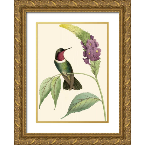 Delicate Hummingbird IV Gold Ornate Wood Framed Art Print with Double Matting by Vision Studio