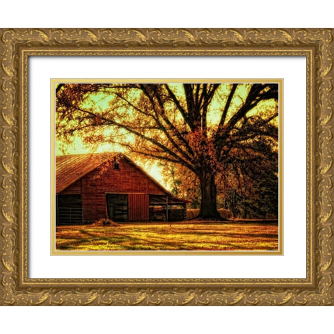 Last Tree Standing Gold Ornate Wood Framed Art Print with Double Matting by Head, Danny