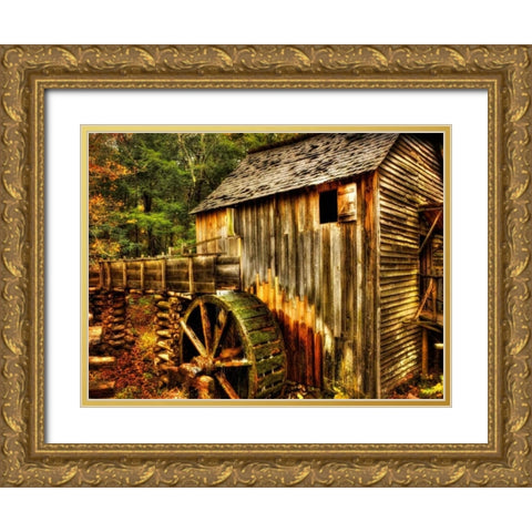Water Wheel Gold Ornate Wood Framed Art Print with Double Matting by Head, Danny