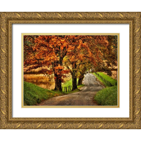 Rainy Morning on Hyatt Lane Gold Ornate Wood Framed Art Print with Double Matting by Head, Danny