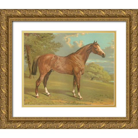 Cassells Thoroughbred I Gold Ornate Wood Framed Art Print with Double Matting by Cassel