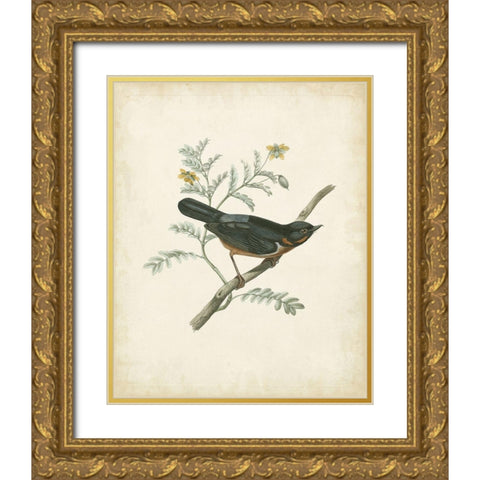 Delicate Birds III Gold Ornate Wood Framed Art Print with Double Matting by Unknown
