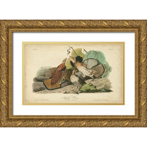 Audubon Ruffed Grouse Gold Ornate Wood Framed Art Print with Double Matting by Audubon, John James