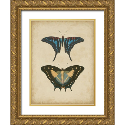 Antique Butterfly Pair III Gold Ornate Wood Framed Art Print with Double Matting by Vision Studio