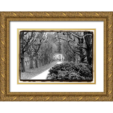 Garden Walk Gold Ornate Wood Framed Art Print with Double Matting by DeNardo, Laura