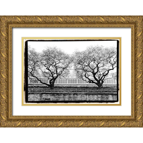 Conservatory II Gold Ornate Wood Framed Art Print with Double Matting by DeNardo, Laura