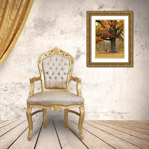 Tree Swing Gold Ornate Wood Framed Art Print with Double Matting by Head, Danny