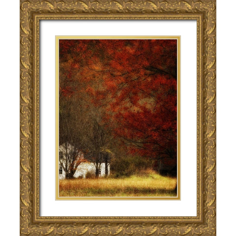 Beyond Octobers Maple Gold Ornate Wood Framed Art Print with Double Matting by Head, Danny