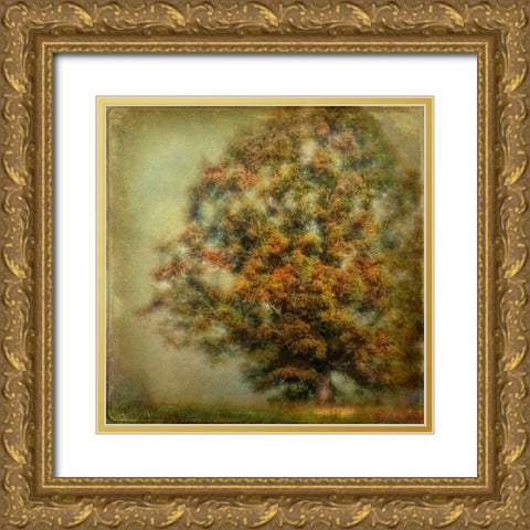 Autumns Dream Gold Ornate Wood Framed Art Print with Double Matting by Head, Danny