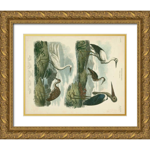 Heron and Crane Species I Gold Ornate Wood Framed Art Print with Double Matting by Edwards, Sydenham