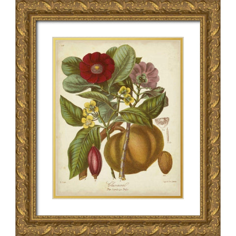 Twining Botanicals I Gold Ornate Wood Framed Art Print with Double Matting by Twining, Elizabeth
