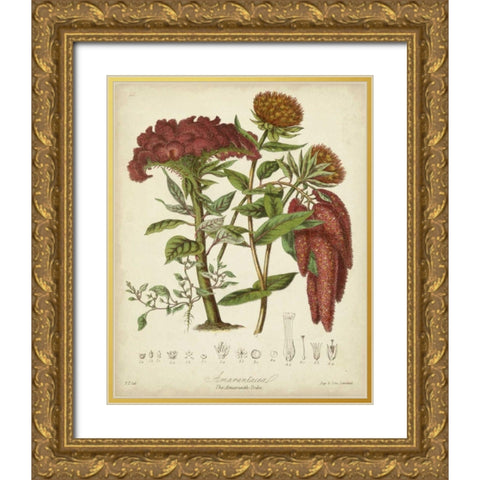 Twining Botanicals II Gold Ornate Wood Framed Art Print with Double Matting by Twining, Elizabeth