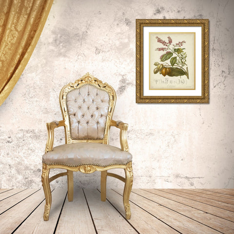 Twining Botanicals IV Gold Ornate Wood Framed Art Print with Double Matting by Twining, Elizabeth