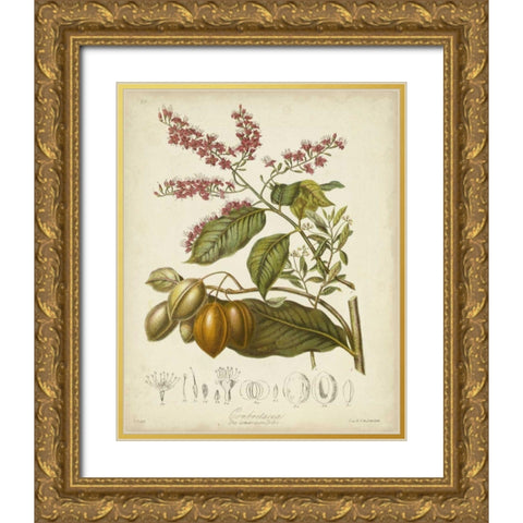 Twining Botanicals IV Gold Ornate Wood Framed Art Print with Double Matting by Twining, Elizabeth