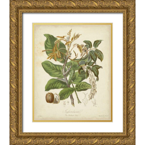 Twining Botanicals VI Gold Ornate Wood Framed Art Print with Double Matting by Twining, Elizabeth