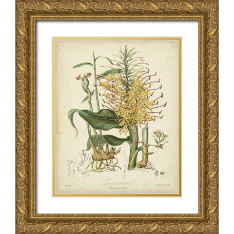 Twining Botanicals VII Gold Ornate Wood Framed Art Print with Double Matting by Twining, Elizabeth