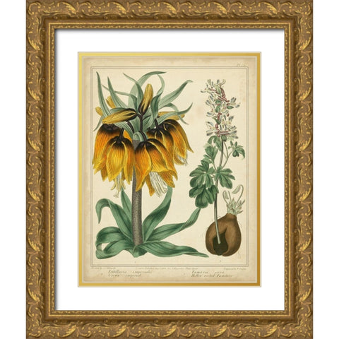 Golden Crown Imperial Gold Ornate Wood Framed Art Print with Double Matting by Edwards, Sydenham