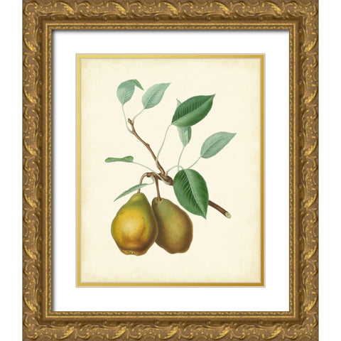 Plantation Pears II Gold Ornate Wood Framed Art Print with Double Matting by Unknown
