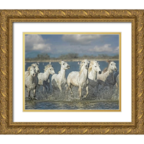 White Horses of the Camargue Gold Ornate Wood Framed Art Print with Double Matting by PHBurchett