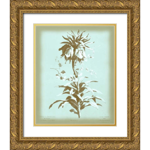 Dussurgey Imperiale on Blue Gold Ornate Wood Framed Art Print with Double Matting by Dussurgey, Chabal