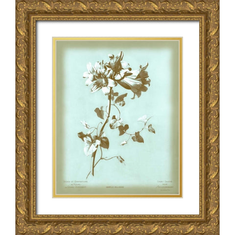 Dussurgey Amaryllis on Blue Gold Ornate Wood Framed Art Print with Double Matting by Dussurgey, Chabal