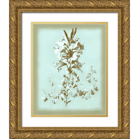 Dussurgey Lilium on Blue Gold Ornate Wood Framed Art Print with Double Matting by Dussurgey, Chabal
