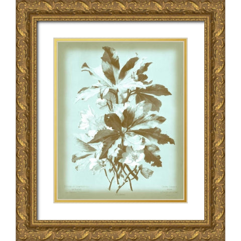 Dussurgey Ellebore on Blue Gold Ornate Wood Framed Art Print with Double Matting by Dussurgey, Chabal