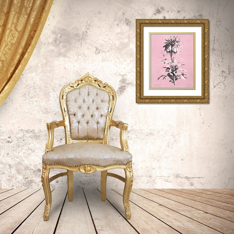 Dussurgey Imperiale on Pink Gold Ornate Wood Framed Art Print with Double Matting by Dussurgey, Chabal