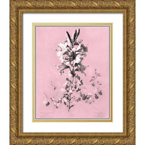 Dussurgey Lilium on Pink Gold Ornate Wood Framed Art Print with Double Matting by Dussurgey, Chabal