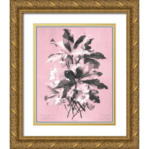 Dussurgey Ellebore on Pink Gold Ornate Wood Framed Art Print with Double Matting by Dussurgey, Chabal