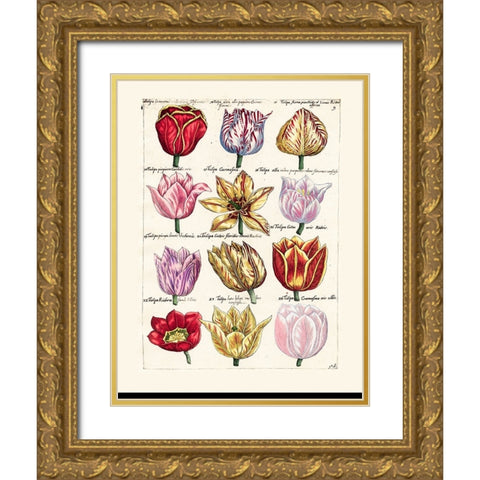 Tulips en Masse I Gold Ornate Wood Framed Art Print with Double Matting by Unknown