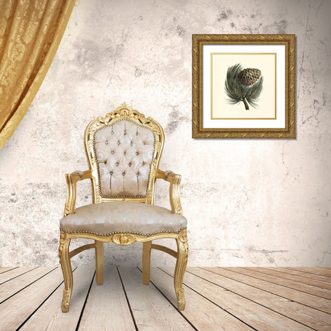 Pignon Pine Gold Ornate Wood Framed Art Print with Double Matting by Unknown