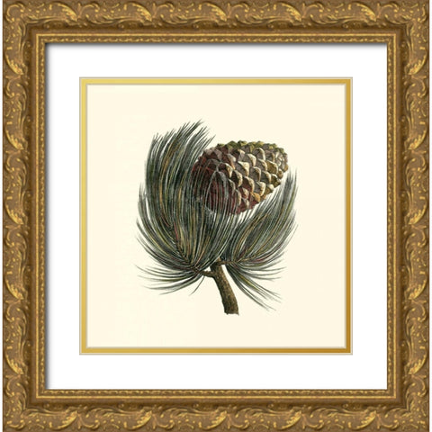 Pignon Pine Gold Ornate Wood Framed Art Print with Double Matting by Unknown