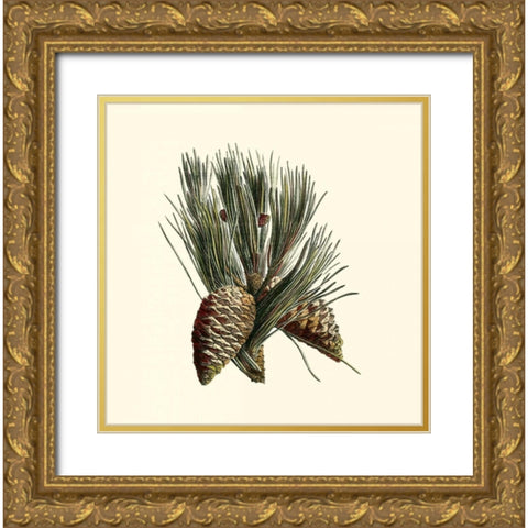Bordeaux Pine Gold Ornate Wood Framed Art Print with Double Matting by Unknown