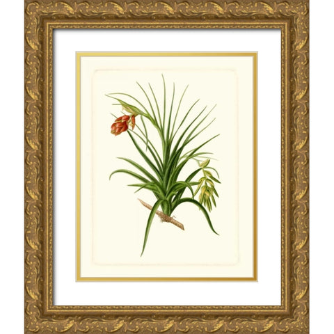 Exotic Flora III Gold Ornate Wood Framed Art Print with Double Matting by Vision Studio