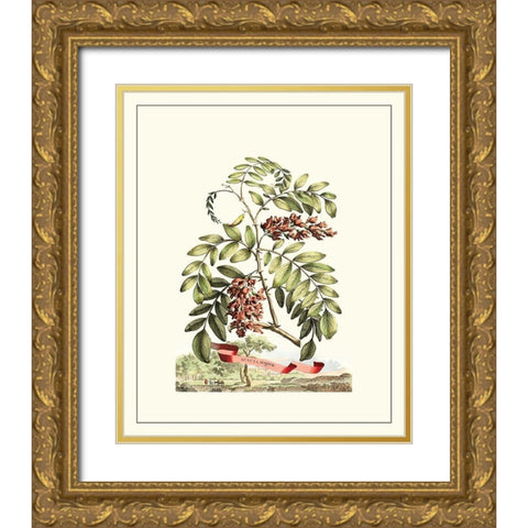 Grandiose View I Gold Ornate Wood Framed Art Print with Double Matting by Munting, Abraham