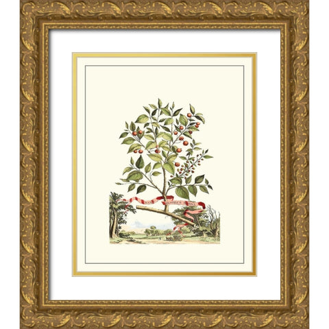 Grandiose View III Gold Ornate Wood Framed Art Print with Double Matting by Munting, Abraham
