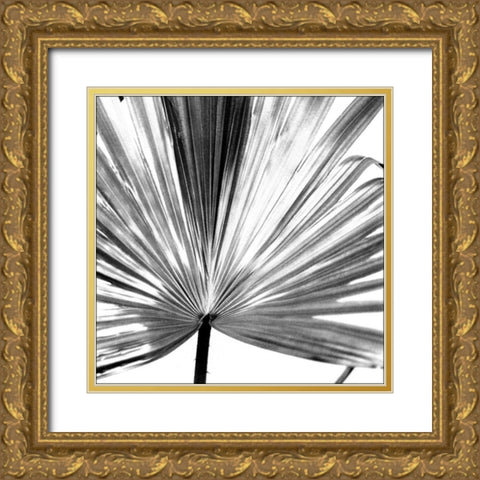 Black and White Palm III Gold Ornate Wood Framed Art Print with Double Matting by Johnson, Jason