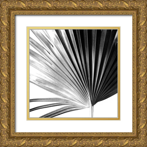 Black and White Palm IV Gold Ornate Wood Framed Art Print with Double Matting by Johnson, Jason