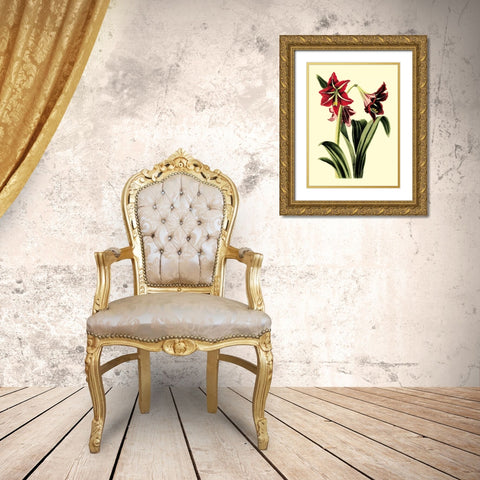 Royal Botanical Study I Gold Ornate Wood Framed Art Print with Double Matting by Cotton, B