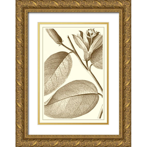 Cropped Sepia Botanical II Gold Ornate Wood Framed Art Print with Double Matting by Vision Studio
