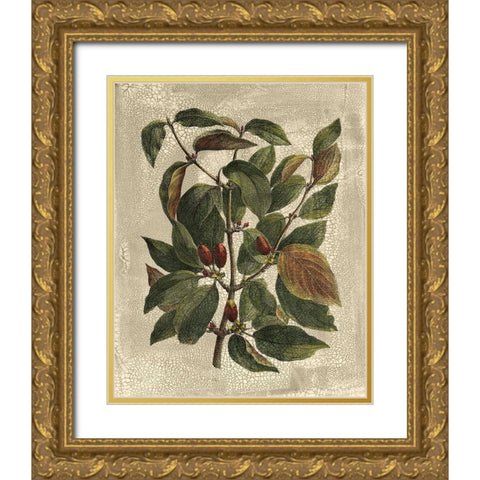 Deshayes Tree II Gold Ornate Wood Framed Art Print with Double Matting by Deshayes, Gerard Paul