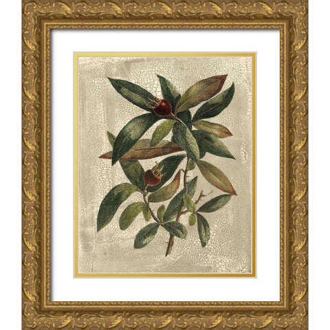 Deshayes Tree III Gold Ornate Wood Framed Art Print with Double Matting by Deshayes, Gerard Paul