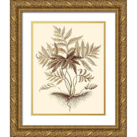 Sepia Munting Foliage IV Gold Ornate Wood Framed Art Print with Double Matting by Munting, Abraham