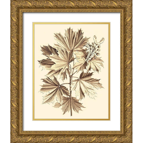 Sepia Munting Foliage V Gold Ornate Wood Framed Art Print with Double Matting by Munting, Abraham